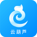 商标查询注册